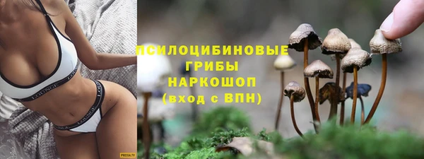 прущая мука Новодвинск