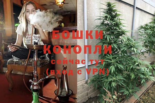 марихуана Новозыбков