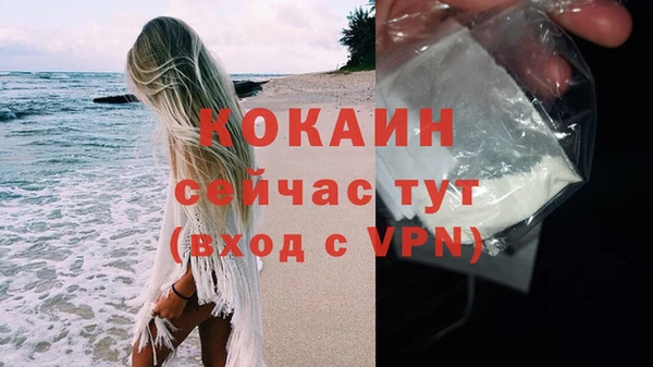 прущая мука Новодвинск