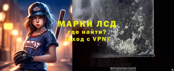 сатива Анжеро-Судженск