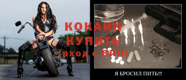 ешки Анива