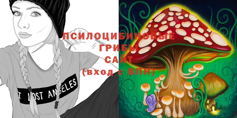 Галлюциногенные грибы Magic Shrooms  нарко площадка как зайти  Алдан  даркнет сайт 