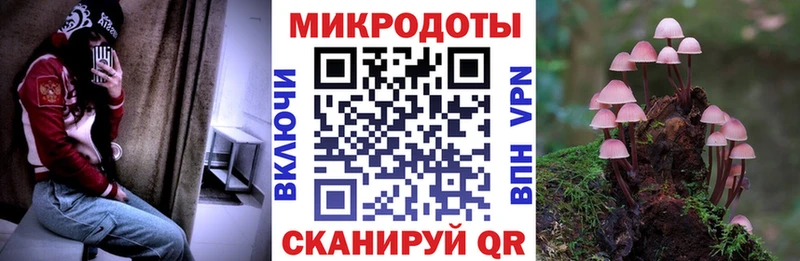 цены   Алдан  Псилоцибиновые грибы мицелий 